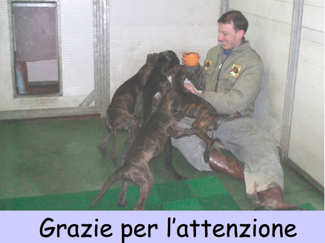 Abschlussarbeit von Matteo Serafini