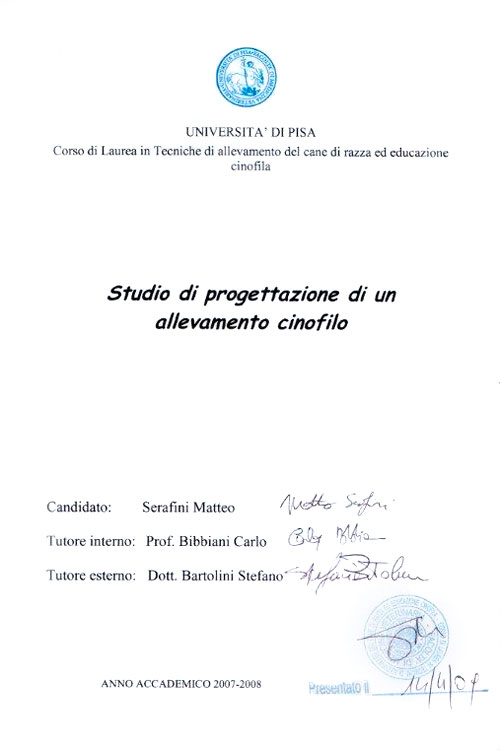 Abschlussarbeit von Matteo Serafini