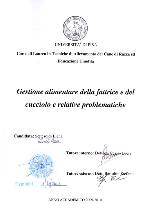 Abschlussarbeit von Elena Settesoldi