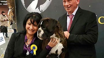 Cosmo campione del Best Show